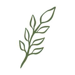 botanical green leaf hand drawn illustration