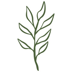 botanical green leaf hand drawn illustration