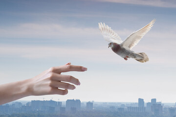 Freedom and hope.