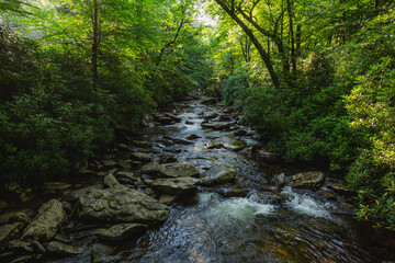 Obraz premium A stream runs in the Smoky Mountains of America.