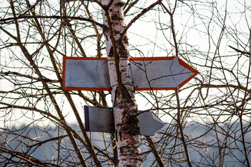Arrow pointers hanging on a tree, rear view