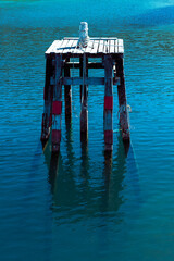 Old Wooden Structure with Cracked Texture by the Lake