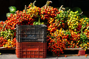 Bunches of colorful pupunha fruits (Bactris gasipaes). Tropical palm fruit in Brazil. Public City...