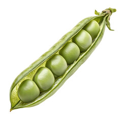 Fresh Broad Beans in Pod - Isolated on White Background as Transparent. PNG. AI GENERATED