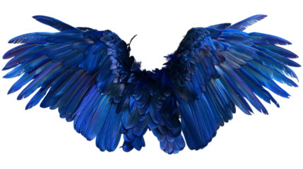 Blue angel wings isolated. A pair of majestic, intricately detailed blue wings with layered feathers, evoking fantasy and divine imagery. AI generated.  .