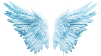 Fototapeta premium Beautiful light blue angel wings with soft feathers. Symbol of purity, spirituality, and divine protection. Wings isolated AI generated. 