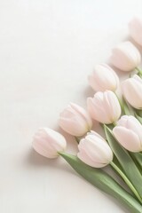 Beautiful background template made of Spring flowers.