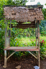 old wooden hut with a thatched roof, old wooden hut in the forest during the rainy season, old neglected hut in the forest