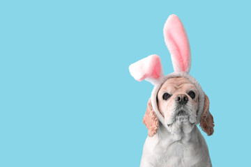 Cute Cocker Spaniel with bunny ears on blue background