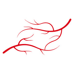 arterial blood vessels red icon