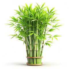 Minimal Bamboo Design Representing Strength and Natural Resilience