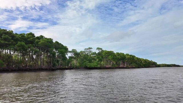 Boat trip on the Preguica River from Tutoia, Delta das Americas to Ilha das Canarias, Brazil. Amazon Rainforest. South America