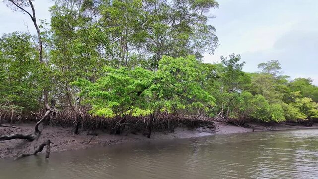 Boat trip on the Preguica River from Tutoia, Delta das Americas to Ilha das Canarias, Brazil. Amazon Rainforest. South America