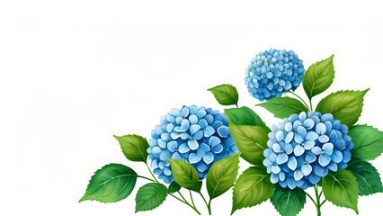 Blooming Blue Hydrangea Flowers Arrangement with Green Leaves Isolated on White