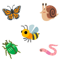 Collection of insects isolated on white background 