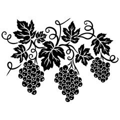 Elegant black and white vector illustration of a grapevine with leaves and grape clusters. Perfect for wine labels, decor, packaging, and vineyard branding. Classic, vintage botanical design.