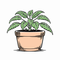 Obraz premium Detailed House Plant Illustration White Background