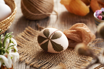 Easter egg with herbs attached to it with old stockings - preparation for dyeing with onion skins