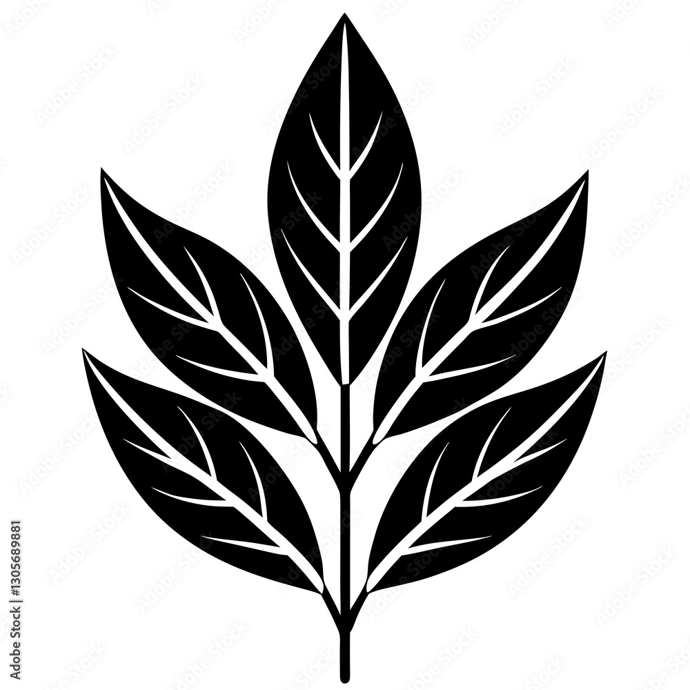Poster a symmetrical leaf with multiple leaves arranged around a central stem, creating a balanced and natu