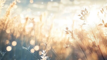 Golden hour serenity nature field photography dreamy environment close-up view tranquil aesthetic