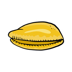 Set of color sea shell icons. Vector illustration isolated on white background