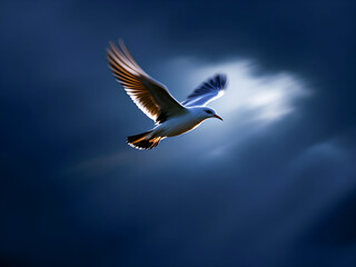 Obraz premium Majestic Seagull Soaring Through a Dramatic Twilight Sky