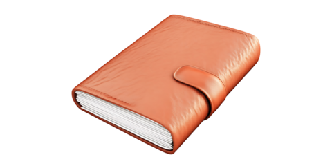 passport 3D, embossed cover