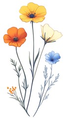 Colorful wildflowers, bouquet, illustration