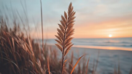 Giraffes stand on the beach with a beautiful sunset casting warm colors in the sky.