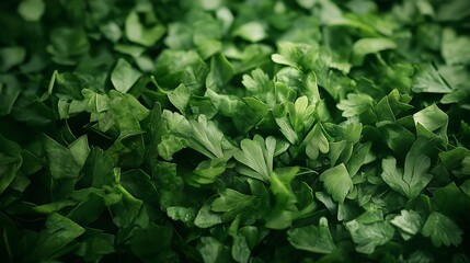 A heap of freshly chopped herbs, their vibrant green leaves finely minced, looks incredibly fresh and aromatic. 