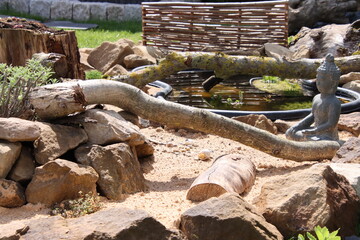 Sandarium für Wildbienen