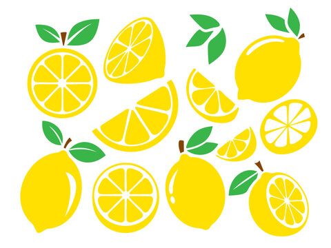 Lemon Fruit Juice Slice Leaf DIY Gift Doodle Clipart Shape
