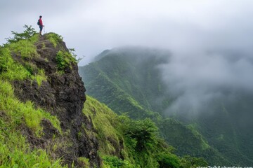 Naklejka premium Giraffe stands on a cliff, gazing at a valley with a mountain backdrop.