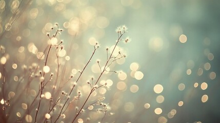 Soft focus image of delicate, dried plants with bokeh effect.