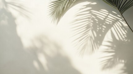 Obraz premium Serene wall art with graceful palm leaf shadow casting a tranquil scene
