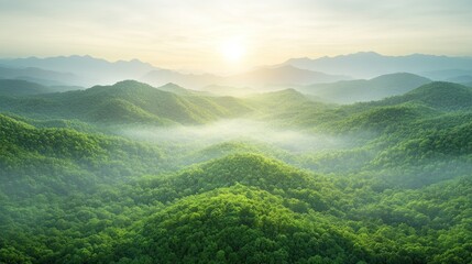 Naklejka premium Misty Mountain Sunrise: A Breathtaking Aerial View of Verdant Hills
