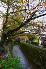 Philisopher's Path Kyoto 