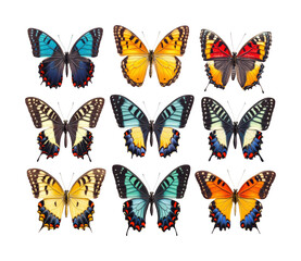 Colorful butterflies display nature preserve vibrant environment view insect diversity isolated on transparent background