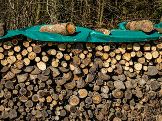 Brennholz lagert auf einer Wiese © focus finder