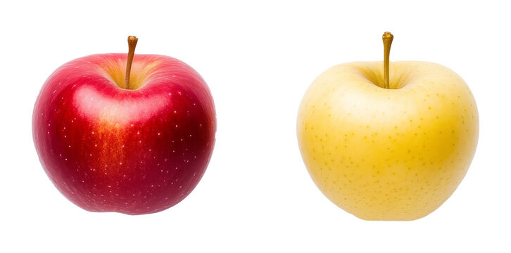 Red and yellow apples side by side on transparent background in studio lighting. Fresh fruit comparison concept