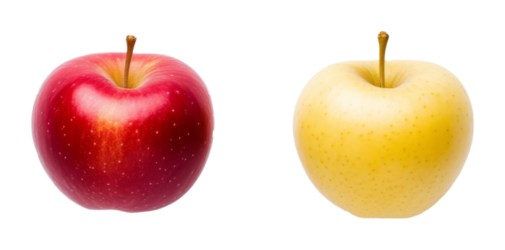 Red and yellow apples side by side on transparent background in studio lighting. Fresh fruit comparison concept