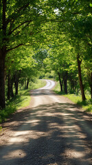 Soft sunlight filtering through verdant branches highlighting winding gravel path nestled in tranquil woodland spring scenery