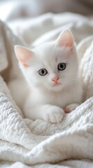 Kitten nestled on a white blanket, indoors