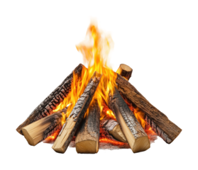 Campfire gathering campsite firewood flames forest environment view relaxation concept isolated on transparent background