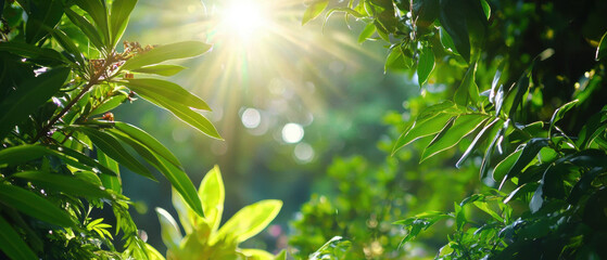 Bright sunlight filters through lush green leaves, creating serene atmosphere
