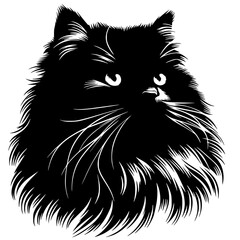 Portrait of a black Angora cat