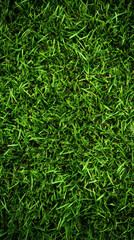 Green grass blades creating textured, verdant backdrop with natural depth perfect for design compositions