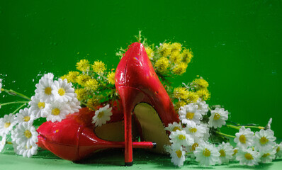 stiletto heels and daisies behind wet glass with water drops