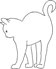 Stretch Cat Simple