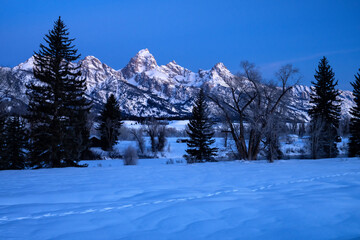 Fototapeta premium Tetons in winter; Grand Teton NP; Wyoming